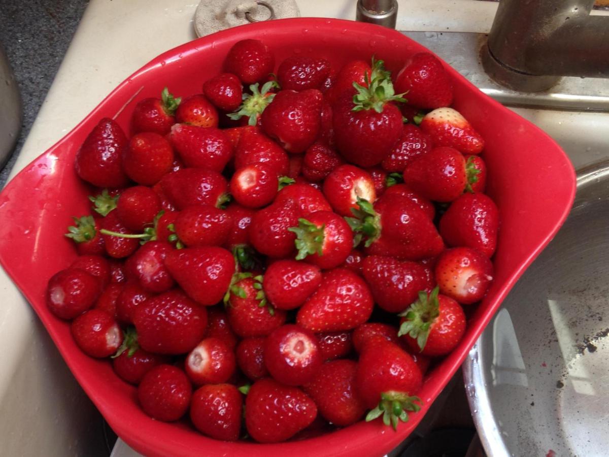Готель Nettles Farm Lummi Island Екстер'єр фото