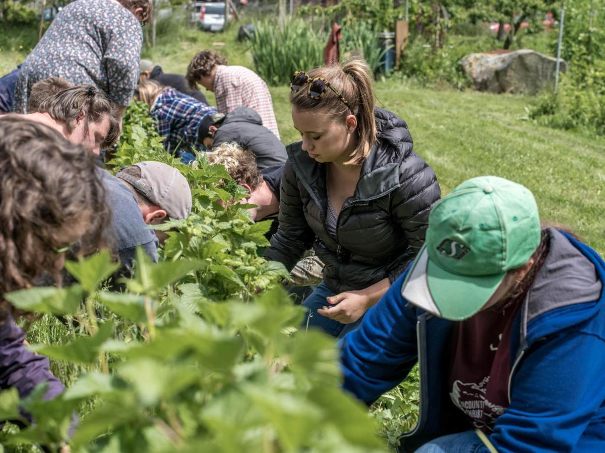 Готель Nettles Farm Lummi Island Екстер'єр фото